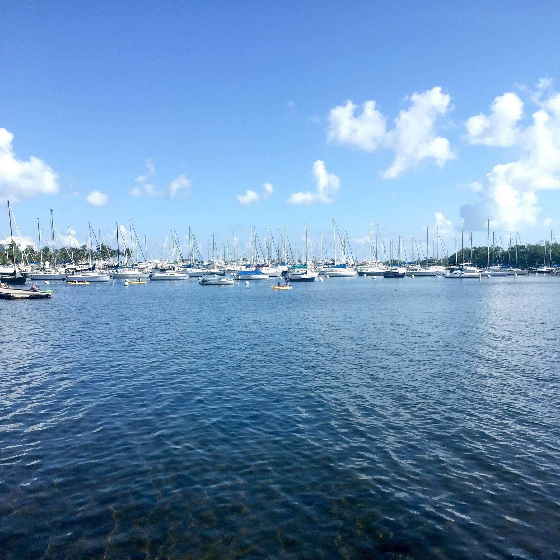 Pelicanstay In Coconut Grove Miami コーラル・ゲーブルズ（フロリダ州） エクステリア 写真